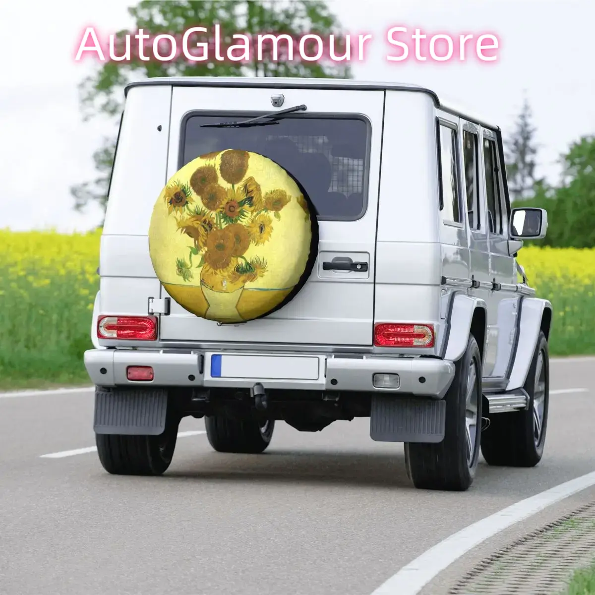Vincent Van Gogh Spare Tire Co - Travel Van Accessories recension och pris